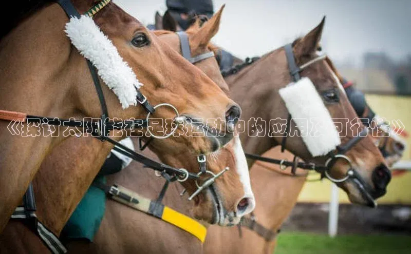 谈球吧网页登录哇咔哇咔文化