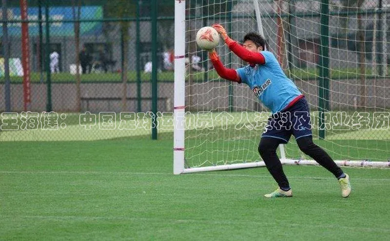 谈球吧网站金山办公