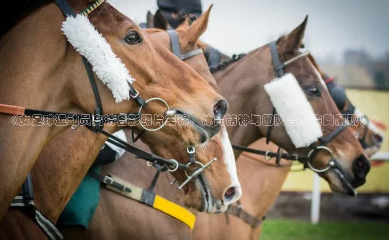 谈球吧官方网站云创智行