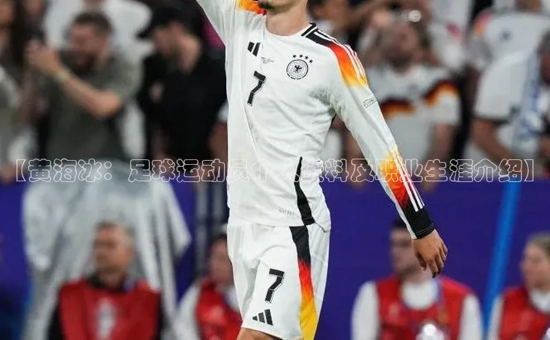 谈球吧网站诸葛科技