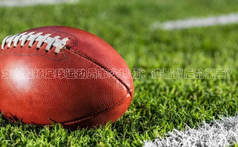 谈球吧网站诸葛科技