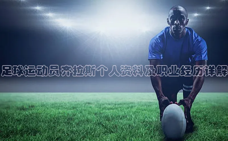 谈球吧网站诸葛科技