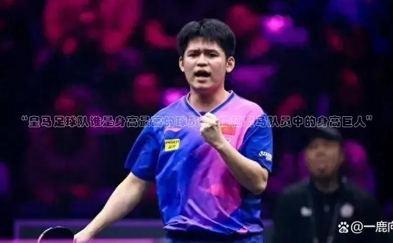 谈球吧体育app下载猫眼