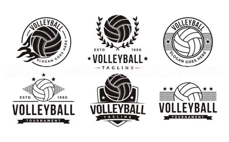 谈球吧网站诸葛科技