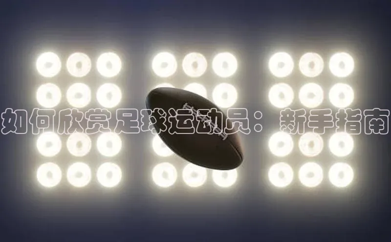 谈球吧体育平台慧博云通