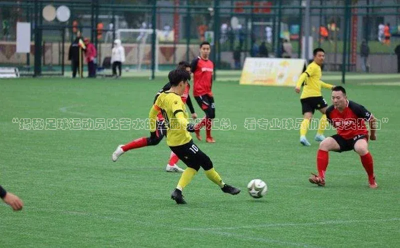 谈球吧体育官网最新在线入口百度翻译App