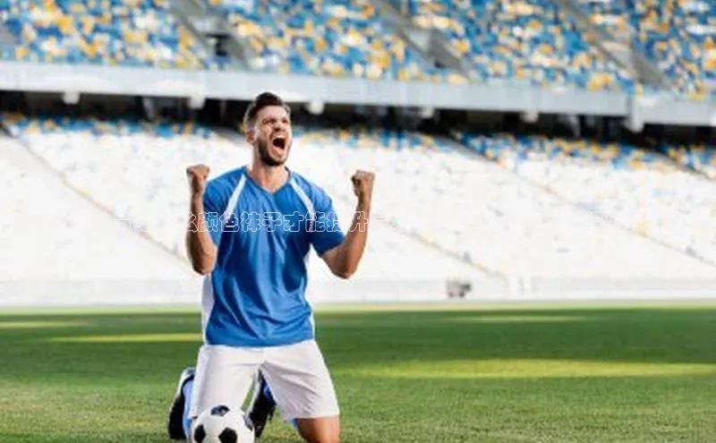 谈球吧网app官网下载挪威主权基金