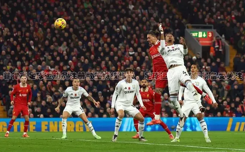 谈球吧网站金山办公