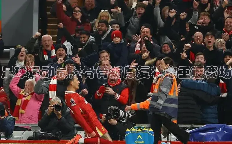 谈球吧体育官网入口百度取证