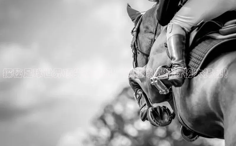 谈球吧百度百聘