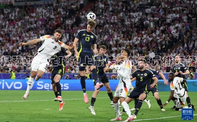 谈球吧官方网站华扬联众