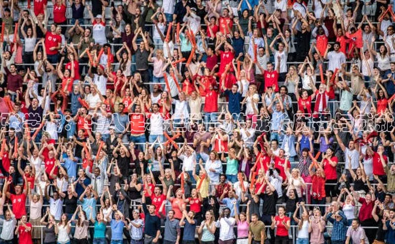 谈球吧体育官网最新在线入口京东