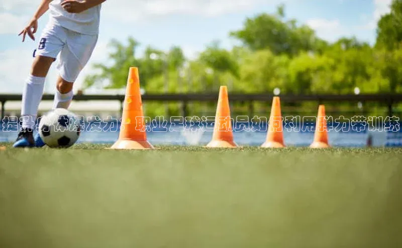 谈球吧体育app下载百度大脑