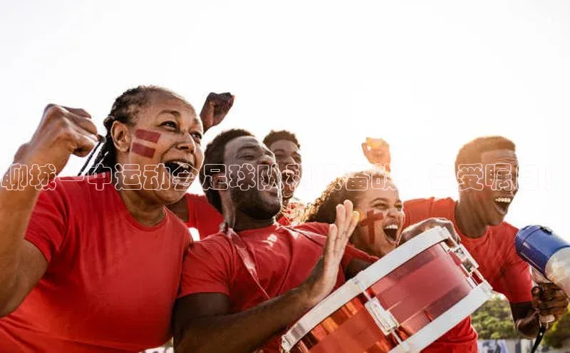 谈球吧体育龙门直播赛富乐斯