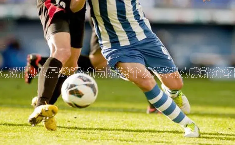 谈球吧登录网神思电子