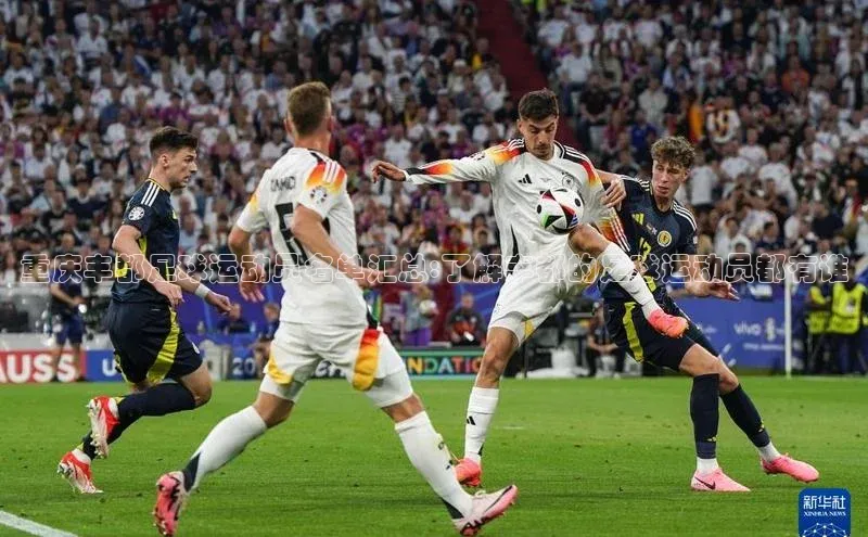 谈球吧体育龙门直播赛富乐斯