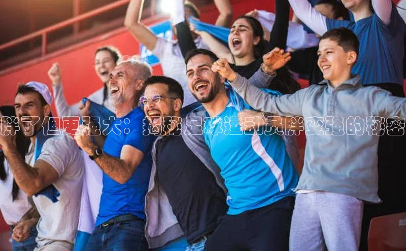 谈球吧体育官网最新在线入口百度翻译App