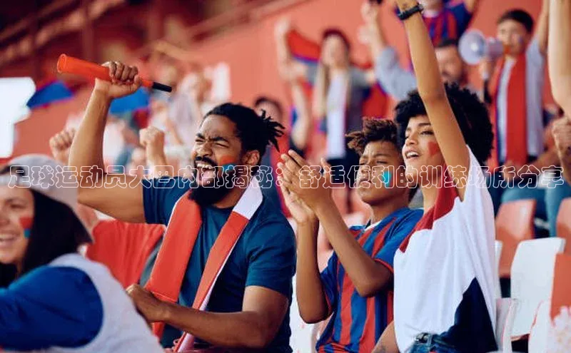 谈球吧app小度商城