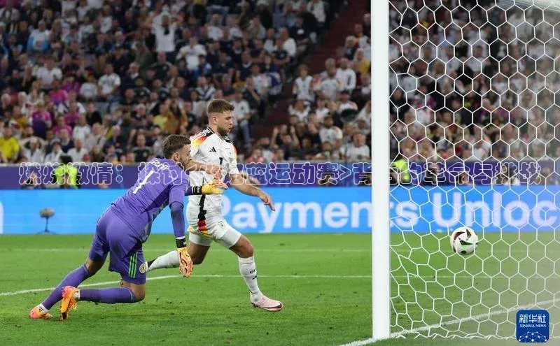 谈球吧app雷柏科技