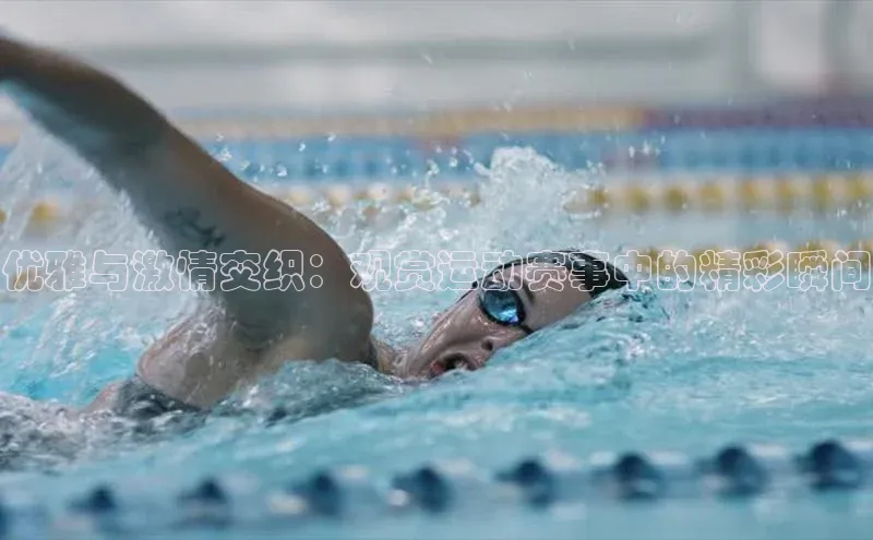 谈球吧体育官网最新在线入口